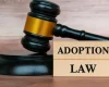 Why Should I Have a Lawyer Help My Adoption Case?