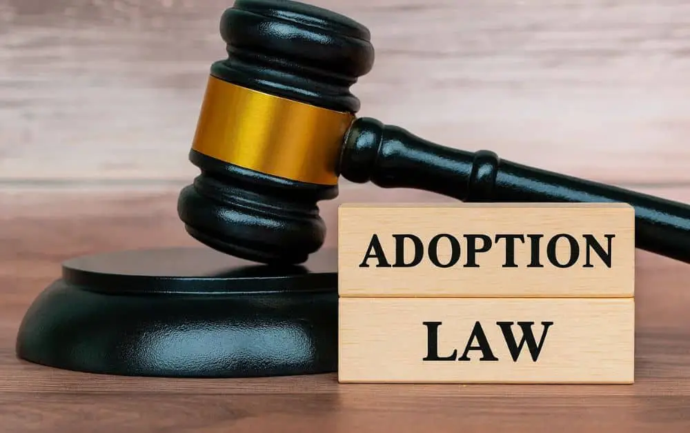Why Should I Have a Lawyer Help My Adoption Case?
