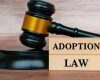 Why Should I Have a Lawyer Help My Adoption Case?