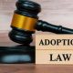 Why Should I Have a Lawyer Help My Adoption Case?